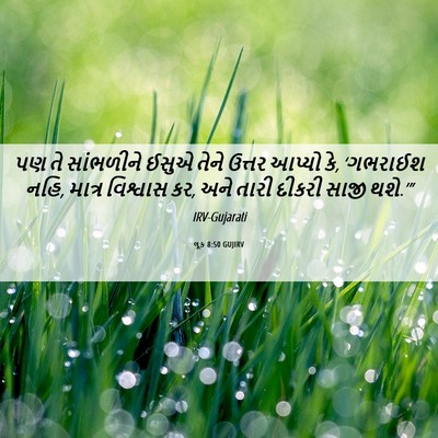 Picture 06 - લૂક 8:50 GUJIRV - પણ તે સાંભળીને - Bible Verse Picture