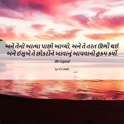Picture 06 - લૂક 8:55 GUJIRV - અને તેનો આત્મા - Bible Verse Picture