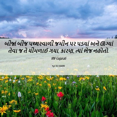 Picture 06 - લૂક 8:6 GUJIRV - બીજાં બીજ - Bible Verse Picture