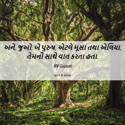 Picture 06 - લૂક 9:30 GUJIRV - અને, જુઓ, બે પુરુષ, - Bible Verse Picture