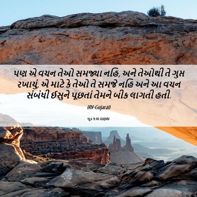 Picture 06 - લૂક 9:45 GUJIRV - પણ એ વચન તેઓ સમજ્યા - Bible Verse Picture