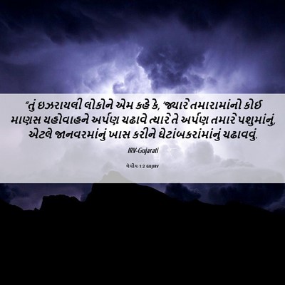 Picture 06 - લેવીય 1:2 GUJIRV - “તું ઇઝરાયલી - Bible Verse Picture