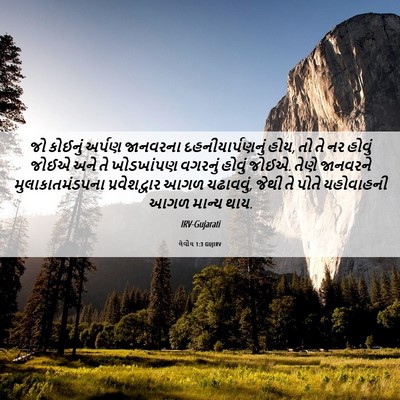 Picture 06 - લેવીય 1:3 GUJIRV - જો કોઈનું અર્પણ - Bible Verse Picture