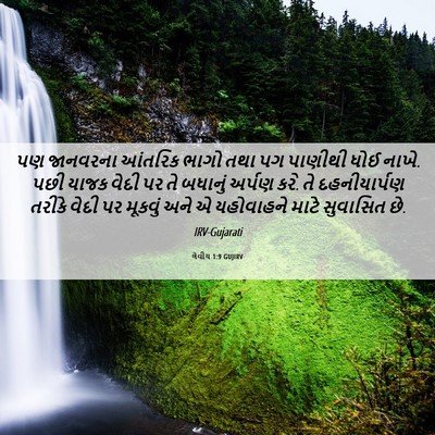 Picture 06 - લેવીય 1:9 GUJIRV - પણ જાનવરના આંતરિક - Bible Verse Picture