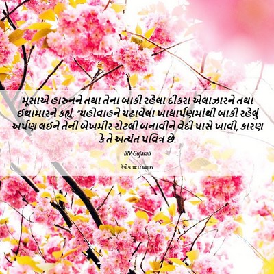 Picture 06 - લેવીય 10:12 GUJIRV - મૂસાએ હારુનને તથા - Bible Verse Picture