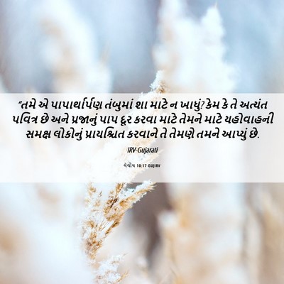 Picture 06 - લેવીય 10:17 GUJIRV - “તમે એ - Bible Verse Picture