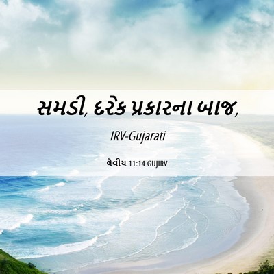 Picture 06 - લેવીય 11:14 GUJIRV - સમડી, દરેક - Bible Verse Picture