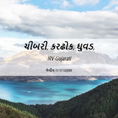 Picture 06 - લેવીય 11:17 GUJIRV - ચીબરી, કરઢોક, - Bible Verse Picture