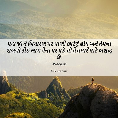 Picture 06 - લેવીય 11:38 GUJIRV - પણ જો તે બિયારણ પર - Bible Verse Picture