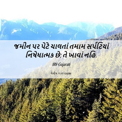 Picture 06 - લેવીય 11:41 GUJIRV - જમીન પર પેટે - Bible Verse Picture