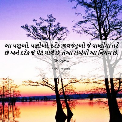 Picture 06 - લેવીય 11:46 GUJIRV - આ પશુઓ, પક્ષીઓ, - Bible Verse Picture