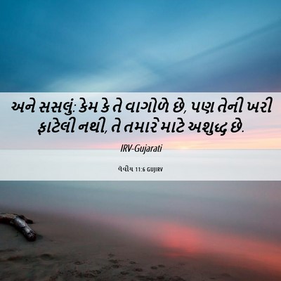 Picture 06 - લેવીય 11:6 GUJIRV - અને સસલું: કેમ કે - Bible Verse Picture