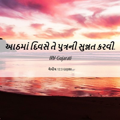 Picture 06 - લેવીય 12:3 GUJIRV - આઠમાં દિવસે તે - Bible Verse Picture