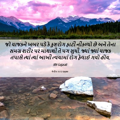 Picture 06 - લેવીય 13:12 GUJIRV - જો યાજકને ખબર પડે - Bible Verse Picture