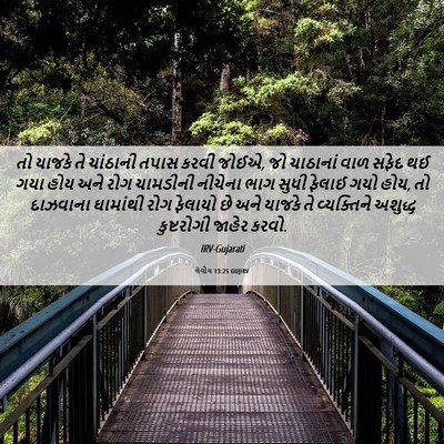 Picture 06 - લેવીય 13:25 GUJIRV - તો યાજકે તે - Bible Verse Picture