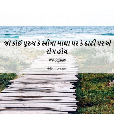 Picture 06 - લેવીય 13:29 GUJIRV - જો કોઈ પુરુષ કે - Bible Verse Picture
