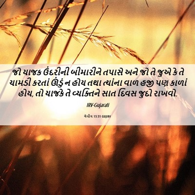 Picture 06 - લેવીય 13:31 GUJIRV - જો યાજક ઉંદરીની - Bible Verse Picture