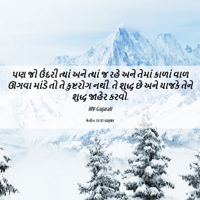 Picture 06 - લેવીય 13:37 GUJIRV - પણ જો ઉંદરી ત્યાં - Bible Verse Picture
