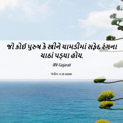 Picture 06 - લેવીય 13:38 GUJIRV - જો કોઈ પુરુષ કે - Bible Verse Picture