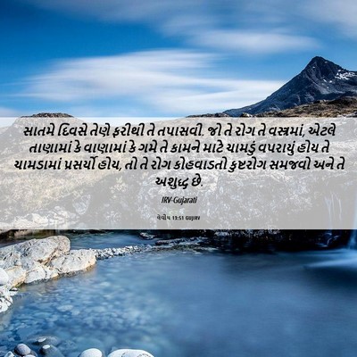 Picture 06 - લેવીય 13:51 GUJIRV - સાતમે દિવસે તેણે - Bible Verse Picture