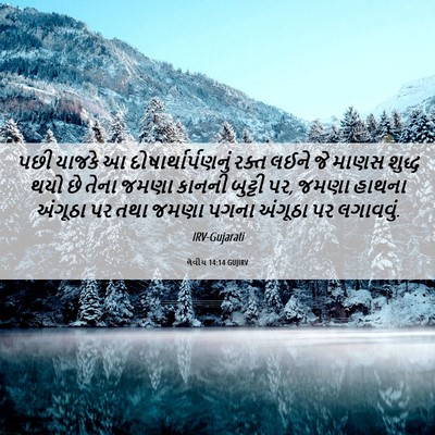 Picture 06 - લેવીય 14:14 GUJIRV - પછી યાજકે આ - Bible Verse Picture