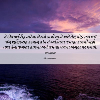 Picture 06 - લેવીય 14:25 GUJIRV - તે દોષાર્થાર્પણ - Bible Verse Picture