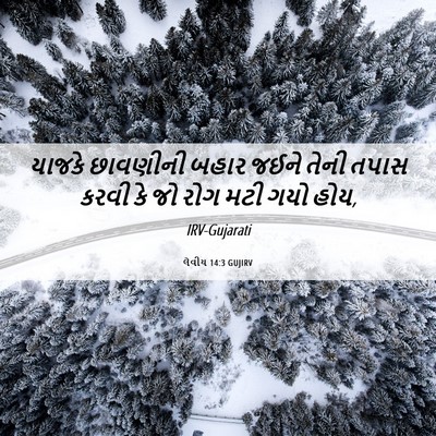 Picture 06 - લેવીય 14:3 GUJIRV - યાજકે છાવણીની - Bible Verse Picture