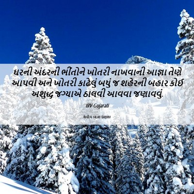 Picture 06 - લેવીય 14:41 GUJIRV - ઘરની અંદરની - Bible Verse Picture