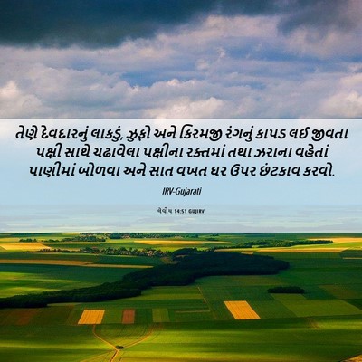 Picture 06 - લેવીય 14:51 GUJIRV - તેણે દેવદારનું - Bible Verse Picture