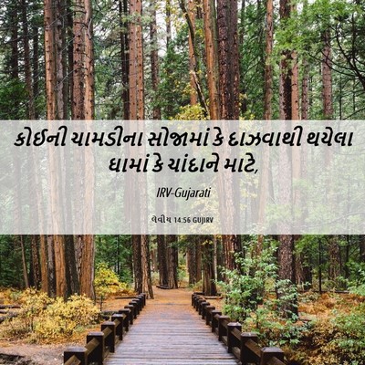 Picture 06 - લેવીય 14:56 GUJIRV - કોઈની ચામડીના - Bible Verse Picture