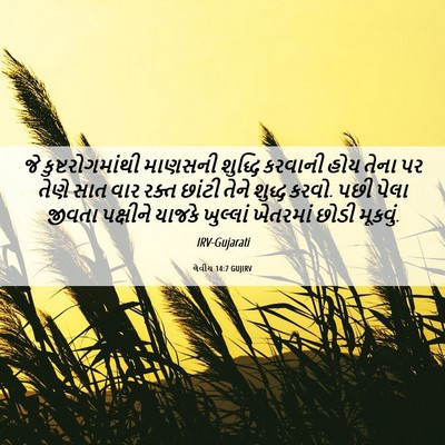Picture 06 - લેવીય 14:7 GUJIRV - જે કુષ્ટરોગમાંથી - Bible Verse Picture