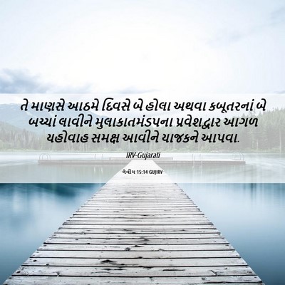 Picture 06 - લેવીય 15:14 GUJIRV - તે માણસે આઠમે - Bible Verse Picture