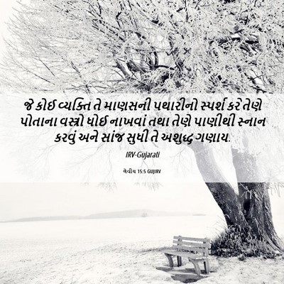 Picture 06 - લેવીય 15:5 GUJIRV - જે કોઈ વ્યક્તિ તે - Bible Verse Picture