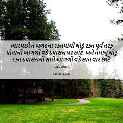 Picture 06 - લેવીય 16:14 GUJIRV - ત્યારપછી તે બળદના - Bible Verse Picture