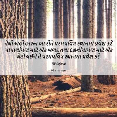 Picture 06 - લેવીય 16:3 GUJIRV - તેથી અહીં હારુન આ - Bible Verse Picture