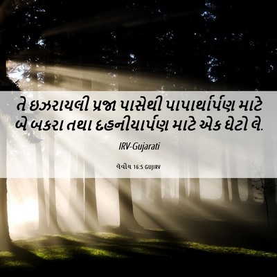 Picture 06 - લેવીય 16:5 GUJIRV - તે ઇઝરાયલી પ્રજા - Bible Verse Picture