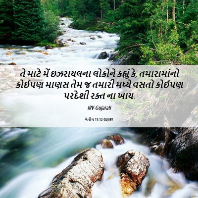 Picture 06 - લેવીય 17:12 GUJIRV - તે માટે મેં - Bible Verse Picture