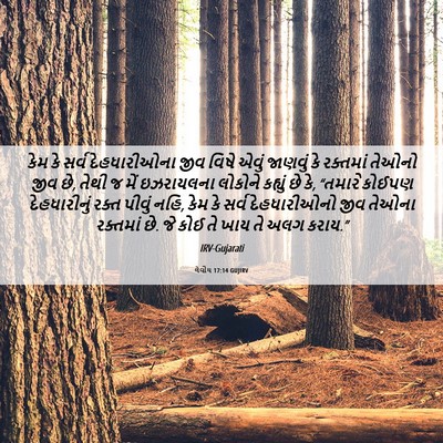 Picture 06 - લેવીય 17:14 GUJIRV - કેમ કે સર્વ - Bible Verse Picture
