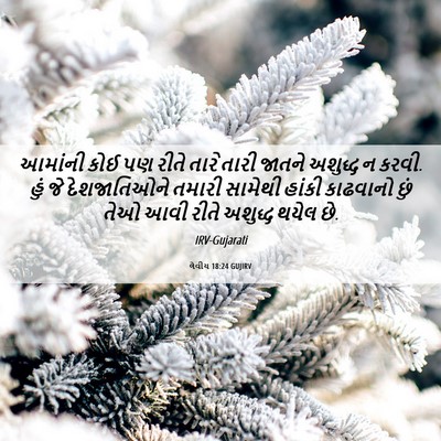 Picture 06 - લેવીય 18:24 GUJIRV - આમાંની કોઈ પણ રીતે - Bible Verse Picture