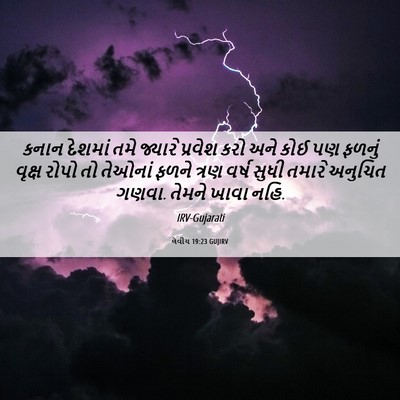 Picture 06 - લેવીય 19:23 GUJIRV - કનાન દેશમાં તમે - Bible Verse Picture