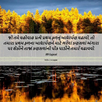 Picture 06 - લેવીય 2:14 GUJIRV - જો તમે યહોવાહ - Bible Verse Picture