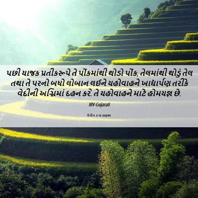 Picture 06 - લેવીય 2:16 GUJIRV - પછી યાજક - Bible Verse Picture