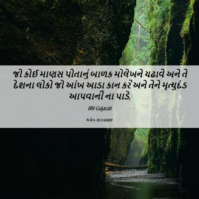 Picture 06 - લેવીય 20:4 GUJIRV - જો કોઈ માણસ - Bible Verse Picture