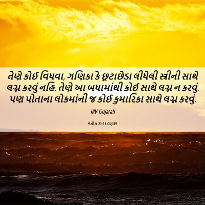 Picture 06 - લેવીય 21:14 GUJIRV - તેણે કોઈ વિધવા, - Bible Verse Picture