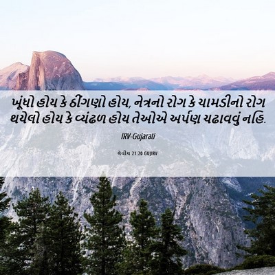 Picture 06 - લેવીય 21:20 GUJIRV - ખૂંધો હોય કે - Bible Verse Picture