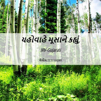 Picture 06 - લેવીય 22:17 GUJIRV - યહોવાહે મૂસાને - Bible Verse Picture
