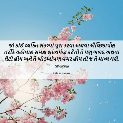 Picture 06 - લેવીય 22:21 GUJIRV - જો કોઈ વ્યક્તિ - Bible Verse Picture