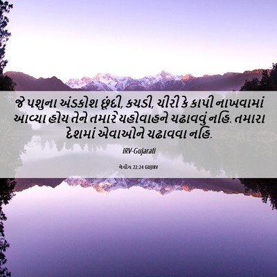 Picture 06 - લેવીય 22:24 GUJIRV - જે પશુના અંડકોશ - Bible Verse Picture