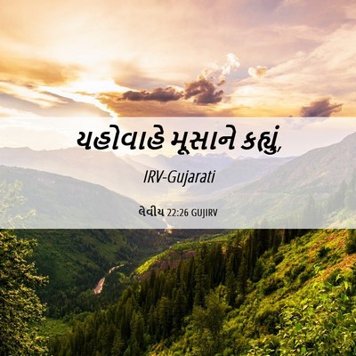 Picture 06 - લેવીય 22:26 GUJIRV - યહોવાહે મૂસાને - Bible Verse Picture