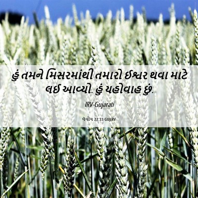 Picture 06 - લેવીય 22:33 GUJIRV - હું તમને - Bible Verse Picture